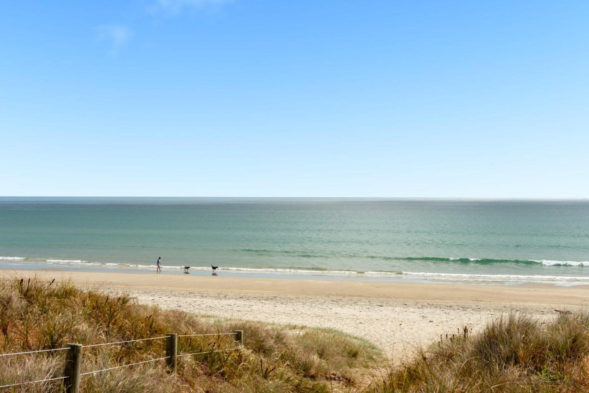 Sunny And Spacious - Moments From The Beach And Downtown 마운트마운가누이 외부 사진
